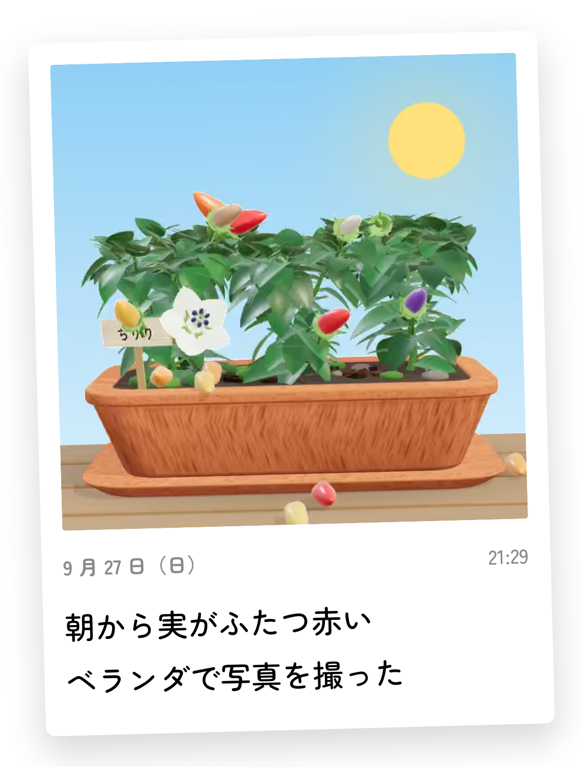 A card with a photo of the planter above the date and a two-line diary entry